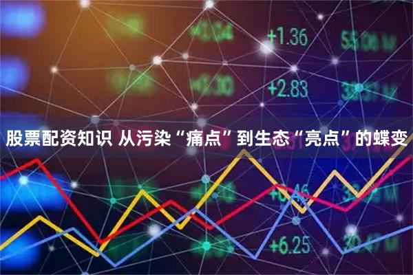 股票配资知识 从污染“痛点”到生态“亮点”的蝶变